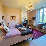 住宿加早餐酒店 Chateau Ciers Saint-Ciers-sur-Gironde