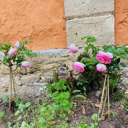 Chateau Ciers Bed & Breakfast Saint-Ciers-sur-Gironde